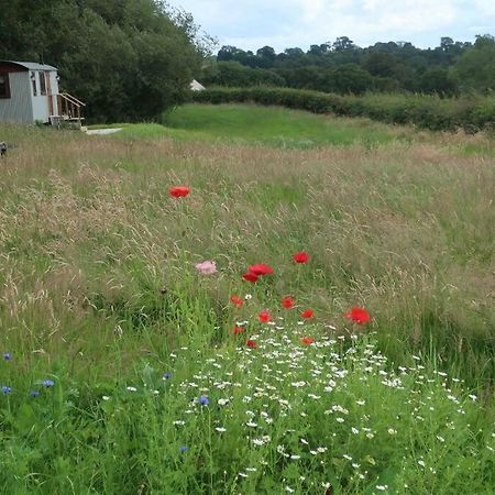 Little Idyll Shepherds Hut Villa Chester Exteriör bild